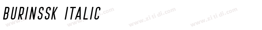 BurinSSK Italic字体转换